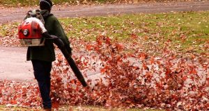 Pourquoi souffler les feuilles ?