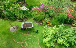 Comment entretenir sa pelouse pendant l’été ?