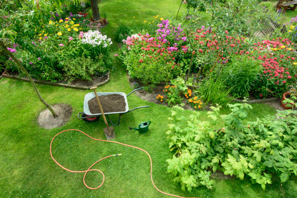 Comment entretenir sa pelouse pendant l’été ?
